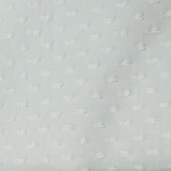 White Swiss Dot